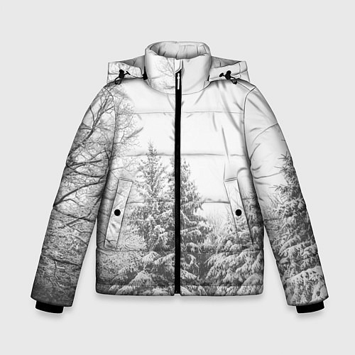 Зимняя куртка для мальчика Winter Storm / 3D-Светло-серый – фото 1