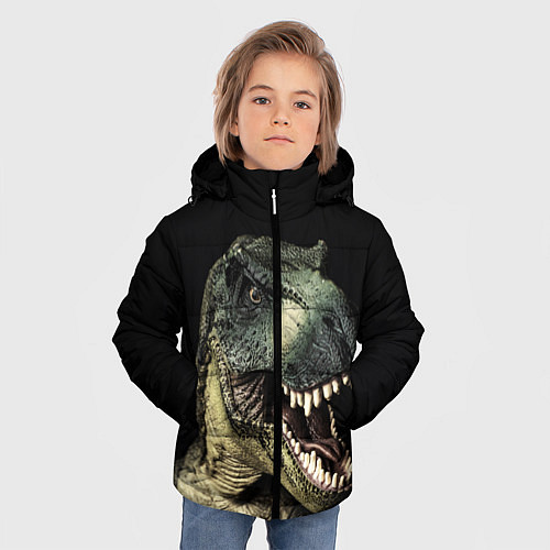 Зимняя куртка для мальчика Динозавр T-Rex / 3D-Черный – фото 3