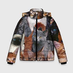 Куртка зимняя для мальчика КОТЯТКИ, цвет: 3D-черный