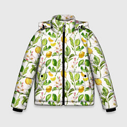 Зимняя куртка для мальчика Летний узор лимон ветки листья