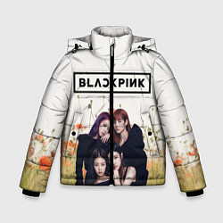 Куртка зимняя для мальчика BlackPink, цвет: 3D-светло-серый