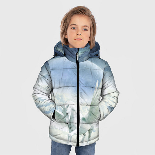 Зимняя куртка для мальчика Пегас / 3D-Черный – фото 3