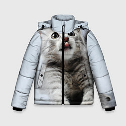 Куртка зимняя для мальчика Серый котенок, цвет: 3D-черный