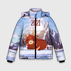 Куртка зимняя для мальчика Спящий бык 2021, цвет: 3D-черный
