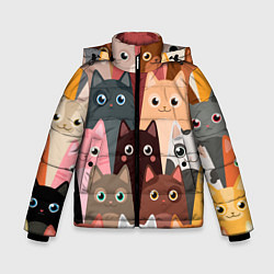 Куртка зимняя для мальчика Котики мультяшные, цвет: 3D-красный