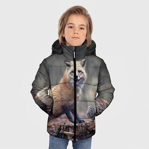 Зимняя куртка для мальчика Лисица и птичка / 3D-Черный – фото 3