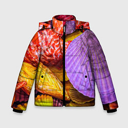 Зимняя куртка для мальчика Разноцветные ракушки multicolored seashells