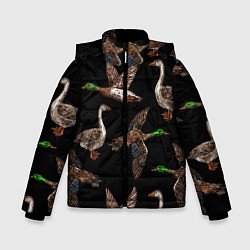 Куртка зимняя для мальчика Утки паттерн, цвет: 3D-черный