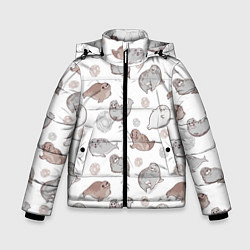 Зимняя куртка для мальчика Милые тюлени