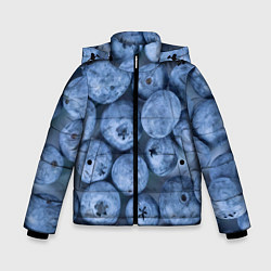Зимняя куртка для мальчика Голубика - фон