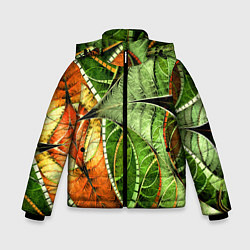 Куртка зимняя для мальчика Растительный абстрактный фрактальный паттерн Veget, цвет: 3D-красный