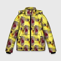 Куртка зимняя для мальчика Попугай Корелла Орёт Мем, цвет: 3D-красный