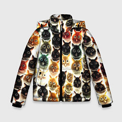 Зимняя куртка для мальчика Паттерн-котики