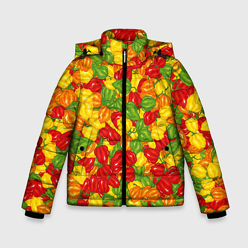 Зимняя куртка для мальчика Острый перц Хабанеро / 3D-Светло-серый – фото 1