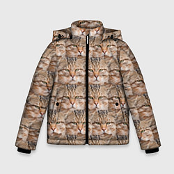 Куртка зимняя для мальчика Кот - Гипнокот, цвет: 3D-красный