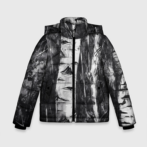 Зимняя куртка для мальчика Березки / 3D-Светло-серый – фото 1