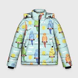 Куртка зимняя для мальчика Попугайчики, цвет: 3D-светло-серый