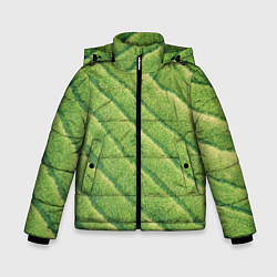Зимняя куртка для мальчика Травяной паттерн