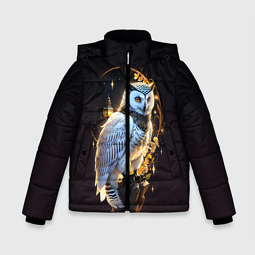 Зимняя куртка для мальчика Снежная сова / 3D-Светло-серый – фото 1