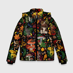 Зимняя куртка для мальчика Фон с лесными грибами