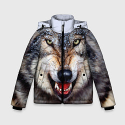 Зимняя куртка для мальчика Взгляд волка