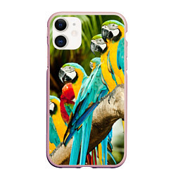 Чехол iPhone 11 матовый Попугаи на ветке, цвет: 3D-светло-розовый