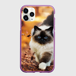 Чехол iPhone 11 Pro матовый Котик в листьях, цвет: 3D-фиолетовый