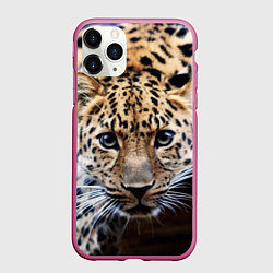 Чехол iPhone 11 Pro матовый Дикая кошка, цвет: 3D-малиновый