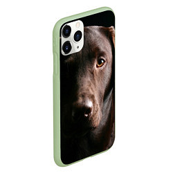 Чехол iPhone 11 Pro матовый Лабрадор, цвет: 3D-салатовый — фото 2