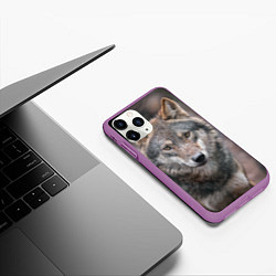 Чехол iPhone 11 Pro матовый Волк - санитар леса, цвет: 3D-фиолетовый — фото 2