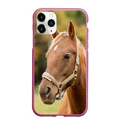Чехол iPhone 11 Pro матовый Взгляд лошади, цвет: 3D-малиновый