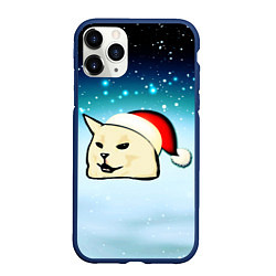 Чехол iPhone 11 Pro матовый Woman yelling at cat, цвет: 3D-тёмно-синий