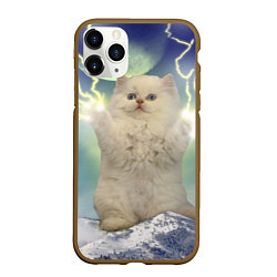 Чехол iPhone 11 Pro матовый Грозовой Котик, цвет: 3D-коричневый