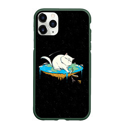 Чехол iPhone 11 Pro матовый Flat earth Cat, цвет: 3D-темно-зеленый