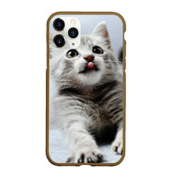 Чехол iPhone 11 Pro матовый Серый котенок, цвет: 3D-коричневый