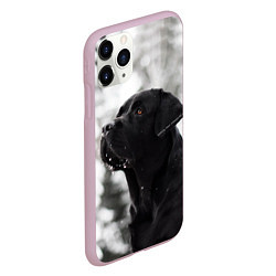 Чехол iPhone 11 Pro матовый Лабрадор Марк, цвет: 3D-розовый — фото 2