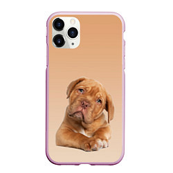 Чехол iPhone 11 Pro матовый Питбуль, цвет: 3D-розовый