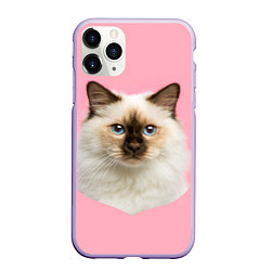 Чехол iPhone 11 Pro матовый Пушистый кот, цвет: 3D-светло-сиреневый