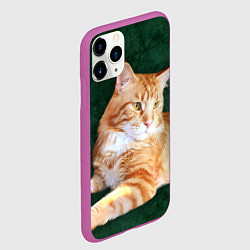 Чехол iPhone 11 Pro матовый Мейн кун рыжий кот, цвет: 3D-фиолетовый — фото 2
