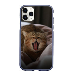 Чехол iPhone 11 Pro матовый Эх, поспать бы! Зевающий котяра, цвет: 3D-серый