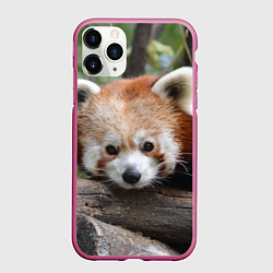 Чехол iPhone 11 Pro матовый Красная панда, цвет: 3D-малиновый