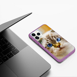 Чехол iPhone 11 Pro матовый Кошка породы шотландская вислоухая косоглазая, цвет: 3D-фиолетовый — фото 2