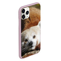 Чехол iPhone 11 Pro матовый Красная панда ждёт, цвет: 3D-розовый — фото 2