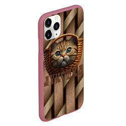 Чехол iPhone 11 Pro матовый Кошка лукошка мем, цвет: 3D-малиновый — фото 2