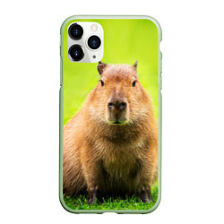 Чехол iPhone 11 Pro матовый Capybara on green grass, цвет: 3D-салатовый