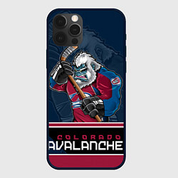 Чехол для iPhone 12 Pro Max Colorado Avalanche, цвет: 3D-черный