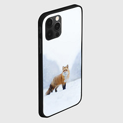 Чехол для iPhone 12 Pro Max Лиса на снегу, цвет: 3D-черный — фото 2