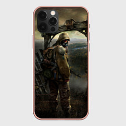 Чехол для iPhone 12 Pro Max STALKER: Call of Pripyat, цвет: 3D-светло-розовый