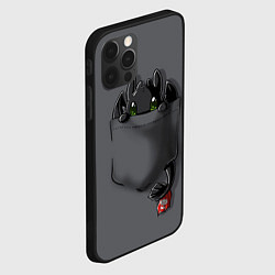 Чехол для iPhone 12 Pro Max Фурия в кармане, цвет: 3D-черный — фото 2