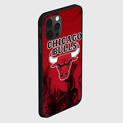 Чехол для iPhone 12 Pro Max CHICAGO BULLS, цвет: 3D-черный — фото 2